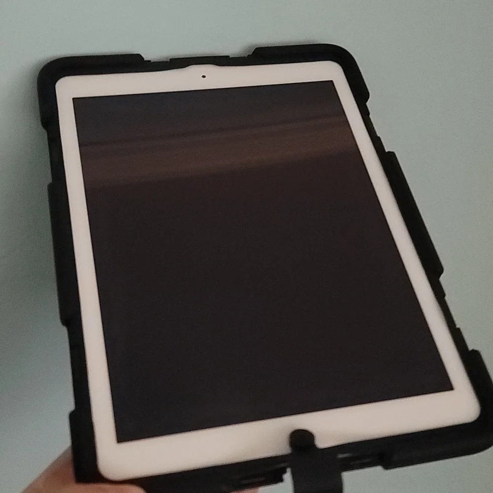 Apple iPad Air Case